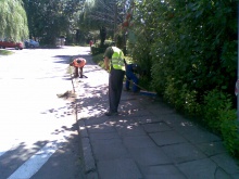 Architektura zieleni.