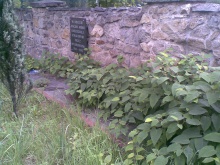 Architektura zieleni.