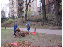 Architektura zieleni.