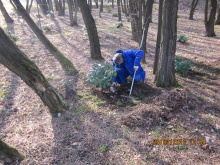 Architektura zieleni.