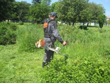 Architektura zieleni.